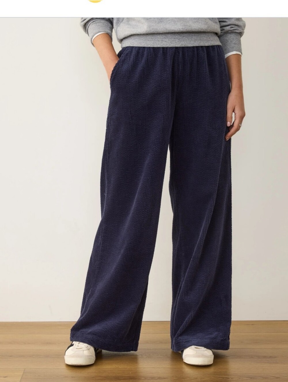 Marine Layer Wide-Leg Velvet Corduroy Pull On Pants in Navy Medium